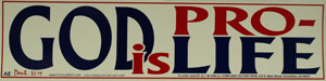 PRO-LIFE BUMPER STICKER God Is Pro-Life.