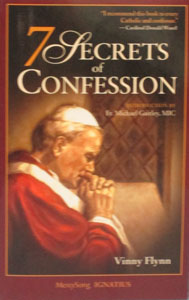 7 SECRETS OF CONFESSION by VINNY FLYNN