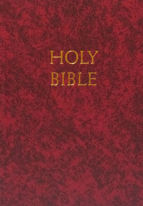 HOLY BIBLE NABRE Fireside School and Church Edition